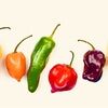 spicy_peppers_